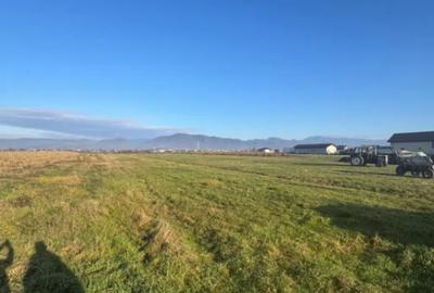 Teren de 1800 mp, în Mocira - 2