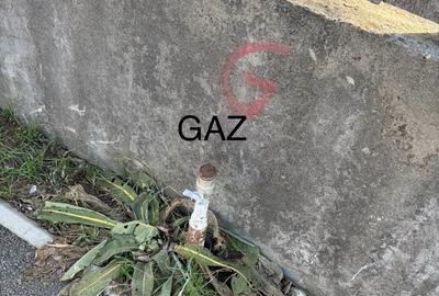 Casă cu 2 camere cu Teren 1266 Mp în Dascălu - 7