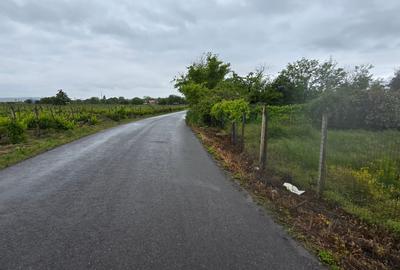 Casa si teren intravilan 4200 mp  Cotesti - 21