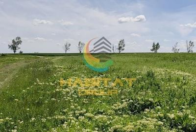 Teren Construcții intravilan de 450 mp, în Frumușani - 8