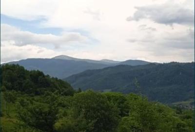 Spațiu comercial, în Slatina - 1