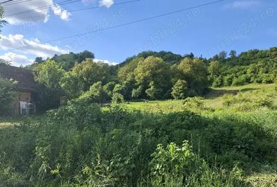 Teren de 2700 mp, în Ivănești - 3