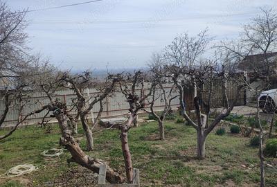 Vanzare casa curte sat Padureni com Jaristea Foc?ani - 7