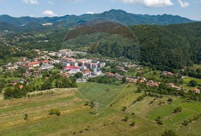 Casa de vanzare Certeju de Sus,jud Hunedoara - 18