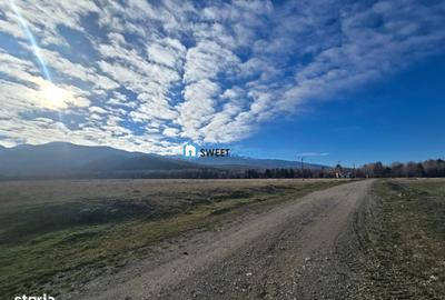 Spațiu comercial, în Dejani - 13