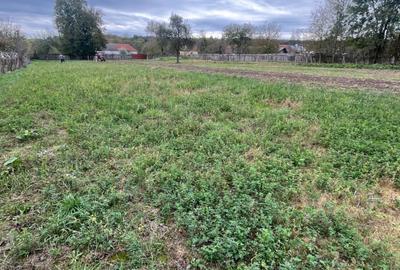 Spațiu comercial, în Almaș - 7