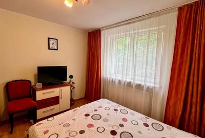 Apartament cu 4 camere decomandat, mobilat în Banat - 8