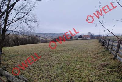 De vânzare teren extravilan și  intravilan  în loc. Barcani, pe str Almas! - 5