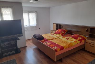 Casă cu 4 camere în Sânmihaiu Român - 6