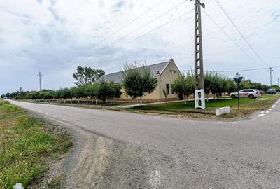 Casă individuală cu 4 camere cu Piscina în Secusigiu - 16