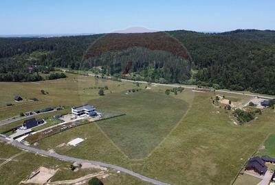 Teren 3,757mp Paltinoasa / Strada principala - 5