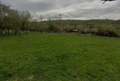 Spațiu comercial, în Vâlcele - 4