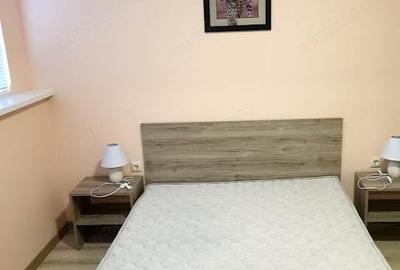 Garsonieră în Calea București - 3