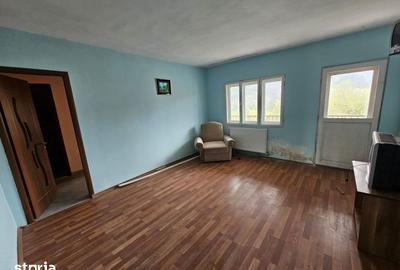 Casă cu Teren 1863 Mp în Baia de Fier - 4