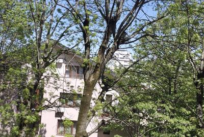 Apartament cu 2 camere semidecomandat în Grivița - 15