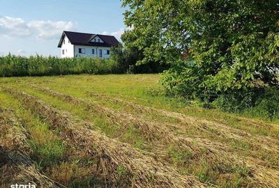 Teren de 3400 mp, în Adunații-Copăceni - 8