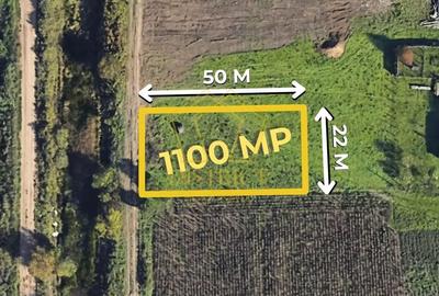 Teren individuala sau duplex 22 front | Timisoara | Plopi - 2