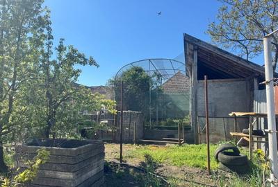 Casă individuală cu 5 camere cu Teren 1536 Mp în Variaș - 3