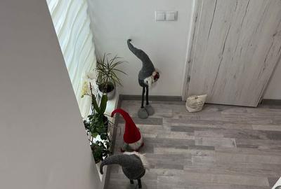 Casă cu 3 camere cu Teren 25 Mp în Titan
