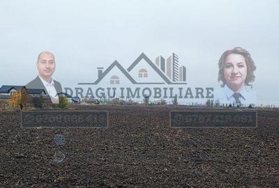 Teren intravilan la E85 / Adjud/ Langa Rompetrol - 1