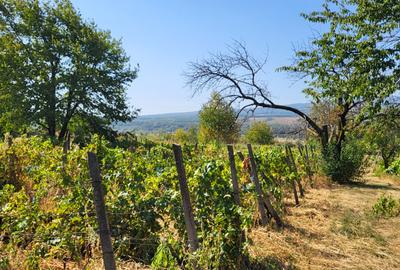 Casă de vânzare în mediul rural – liniște, natură și confort - 10