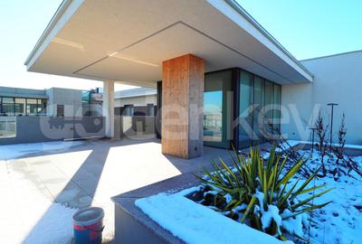 Penthouse cu 5 camere decomandat, mobilat în Băneasa - 3