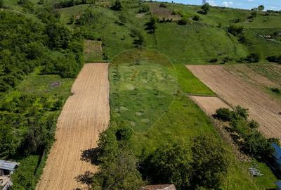 Teren agricol intravilan de 11317 mp, în Parava - 3