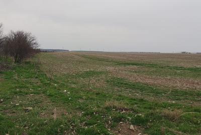 OCAZIE UNICA TEREN IEFTIN-PUZ INDUSTRIAL CERNICA, PALLADY - 2