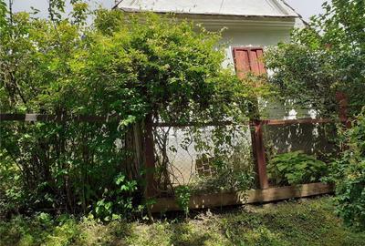 Casă cu 2 camere în Central - 4