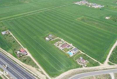 Teren de 40578 mp, în Ciorogârla - 6