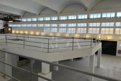 Hala renovata zona industriala Jilava - 3