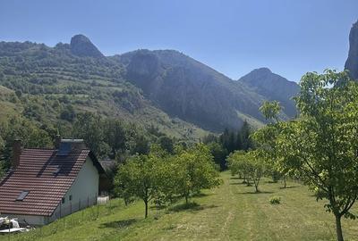 Teren de 1800 mp, în Livezile - 5