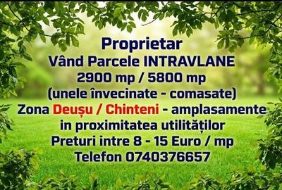 Spațiu comercial, în Deușu