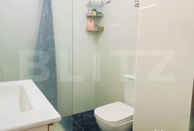 Apartament cu 3 camere decomandat, mobilat în Nufărul - 17