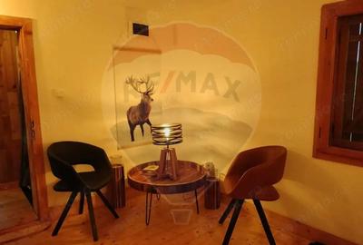 Casă cu 2 camere cu Teren 645 Mp în Sub Piatră - 11