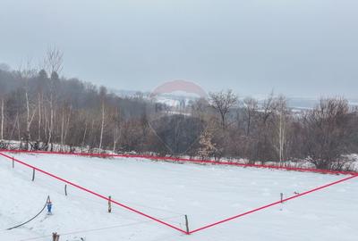 Teren 500 mp între Perdeluț și Tohanul Nou - 15