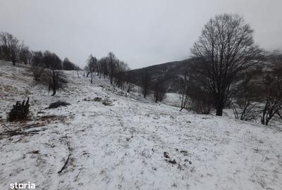 Spațiu comercial, în Central - 2