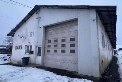 Spațiu industrial, de 650 mp, în Cristian - 3