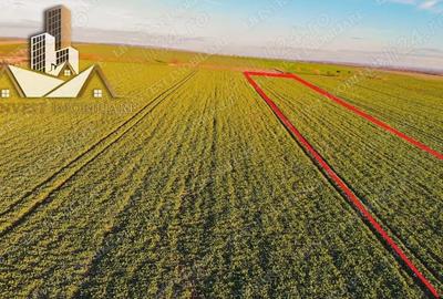 Teren de 10000 mp, în Giarmata