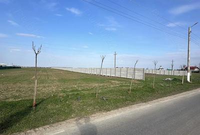 Teren de 6700 mp, în Bălăceanca - 1