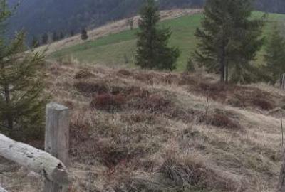 Teren de vanzare ideal pentru cabana in Maguri Racatau - 3