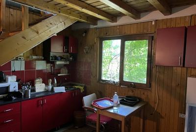 Casa-langa studiourile Buftea, 2 constructii, curte cu pomi, 2500mp, langa lac - 22