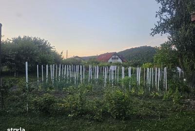 Casă cu 4 camere cu Teren 340 Mp în Blejoi - 3