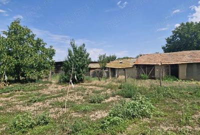 Casa de vanzare comuna ileana Casa de vanzare comuna ileana - 4