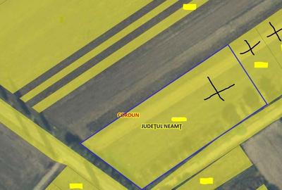 Spațiu comercial, în Cordun - 6