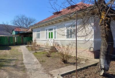 Casă cu 3 camere în Bodești - 9