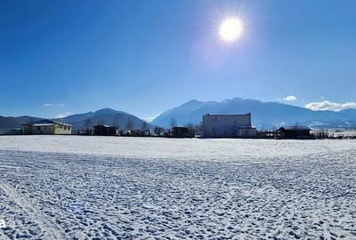 Teren de 5000 mp, în Pănicel - 2