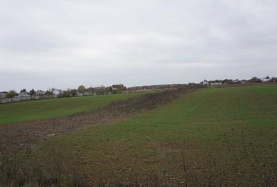 Teren agricol intravilan de 2800 mp, în Ciolpani - 4