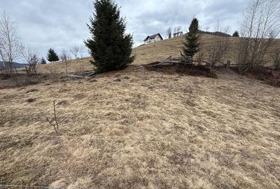 Spațiu comercial, în Albac - 2