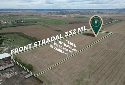 Teren de 25400 mp, în Zăbrani - 3